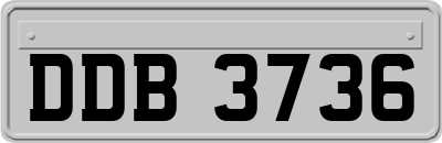 DDB3736