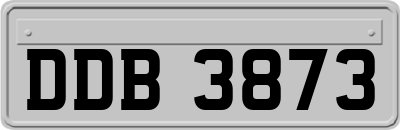 DDB3873