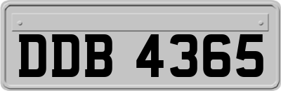 DDB4365