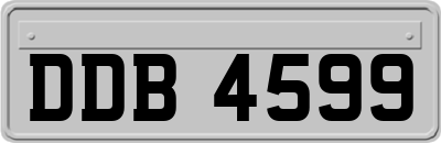 DDB4599