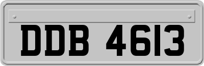 DDB4613