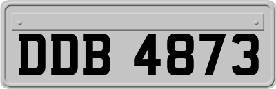 DDB4873