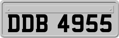 DDB4955
