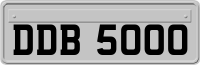 DDB5000
