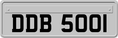 DDB5001