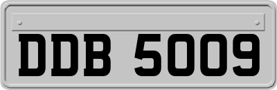 DDB5009