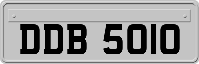 DDB5010