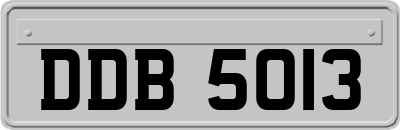 DDB5013