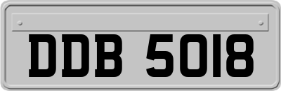 DDB5018
