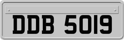 DDB5019