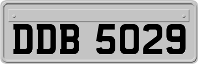 DDB5029
