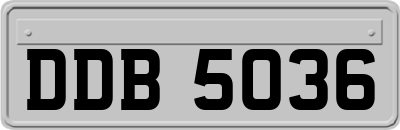 DDB5036