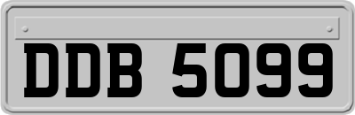 DDB5099