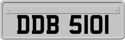 DDB5101