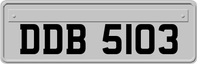 DDB5103