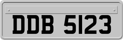 DDB5123