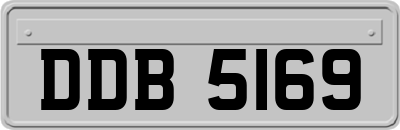 DDB5169