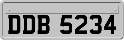 DDB5234