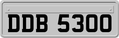 DDB5300