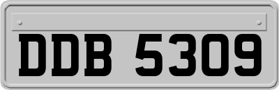 DDB5309