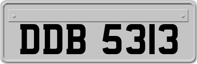 DDB5313