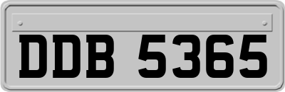 DDB5365