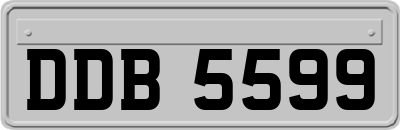 DDB5599
