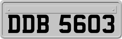 DDB5603