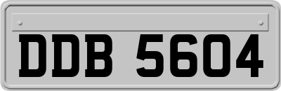 DDB5604