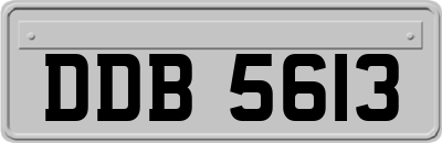 DDB5613