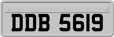 DDB5619