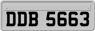 DDB5663