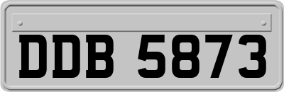 DDB5873