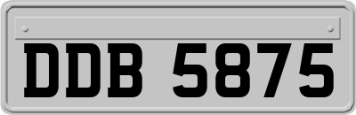 DDB5875