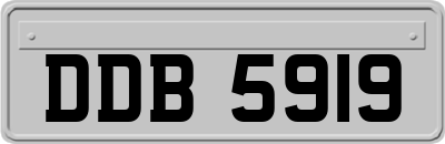 DDB5919