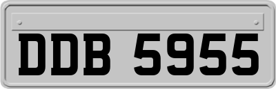 DDB5955