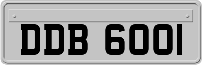 DDB6001