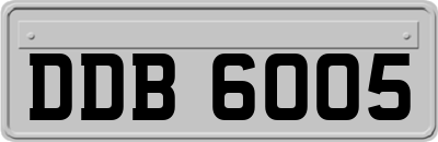 DDB6005