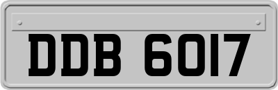 DDB6017