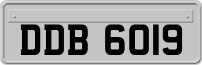 DDB6019