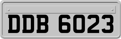 DDB6023