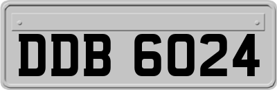 DDB6024