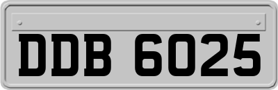 DDB6025