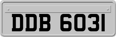 DDB6031