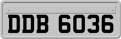 DDB6036