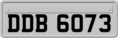 DDB6073