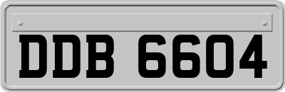 DDB6604