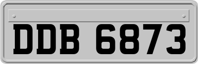 DDB6873