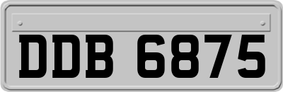 DDB6875