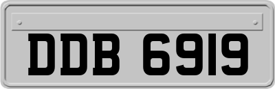 DDB6919